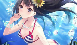 泳装动漫,夏日风情与青春活力的完美融合