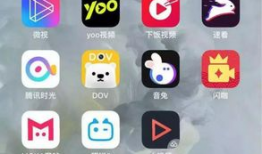 短视频有哪些,内容创新与传播变革的浪潮