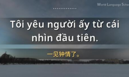 英语简短视频,Summarizing the Key Points of the English Short Video