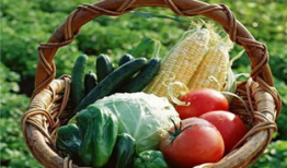 沈阳房产销售吃瓜爆料,吃瓜爆料背后的真相