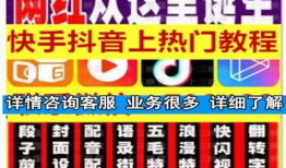 石家庄短视频运营,打造城市魅力新名片