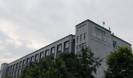 动漫设计专业的大学,创意与技术的完美融合