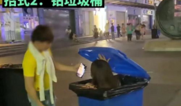 成年人的短视频,成年人的娱乐与生活新篇章