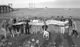 吃瓜爆料缅北事件真相,吃瓜群众眼中的真相披露