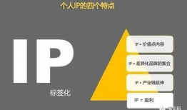 短视频ip,打造爆款内容的秘密武器