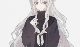 动漫霸气女,动漫中的女强人风采