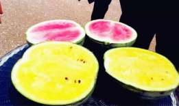 吃瓜爆料图片高清壁纸大全,吃瓜爆料图片大全赏析