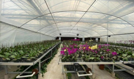 吃瓜群爆料大棚图片大全,吃瓜群爆料图片大全背后的农业奥秘