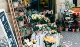 吃瓜最新事件爆料花店老板,揭秘背后惊人真相